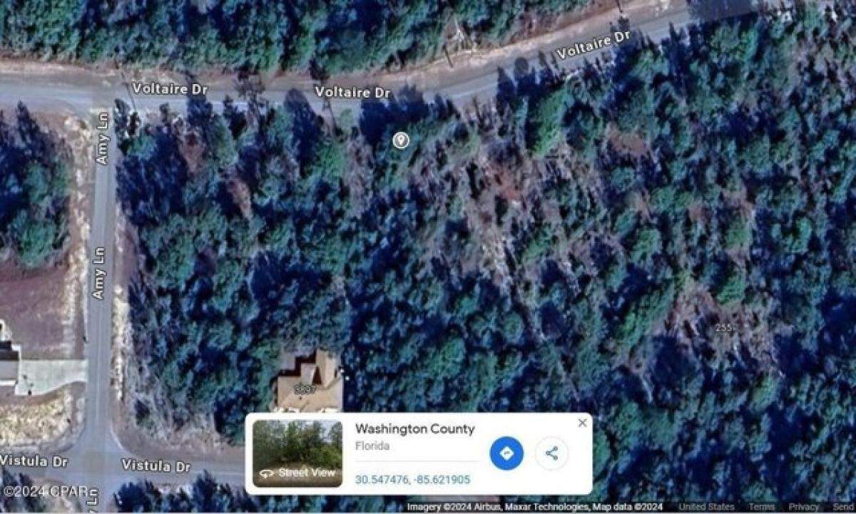 Picture of Residential Land For Sale in Chipley, Florida, United States