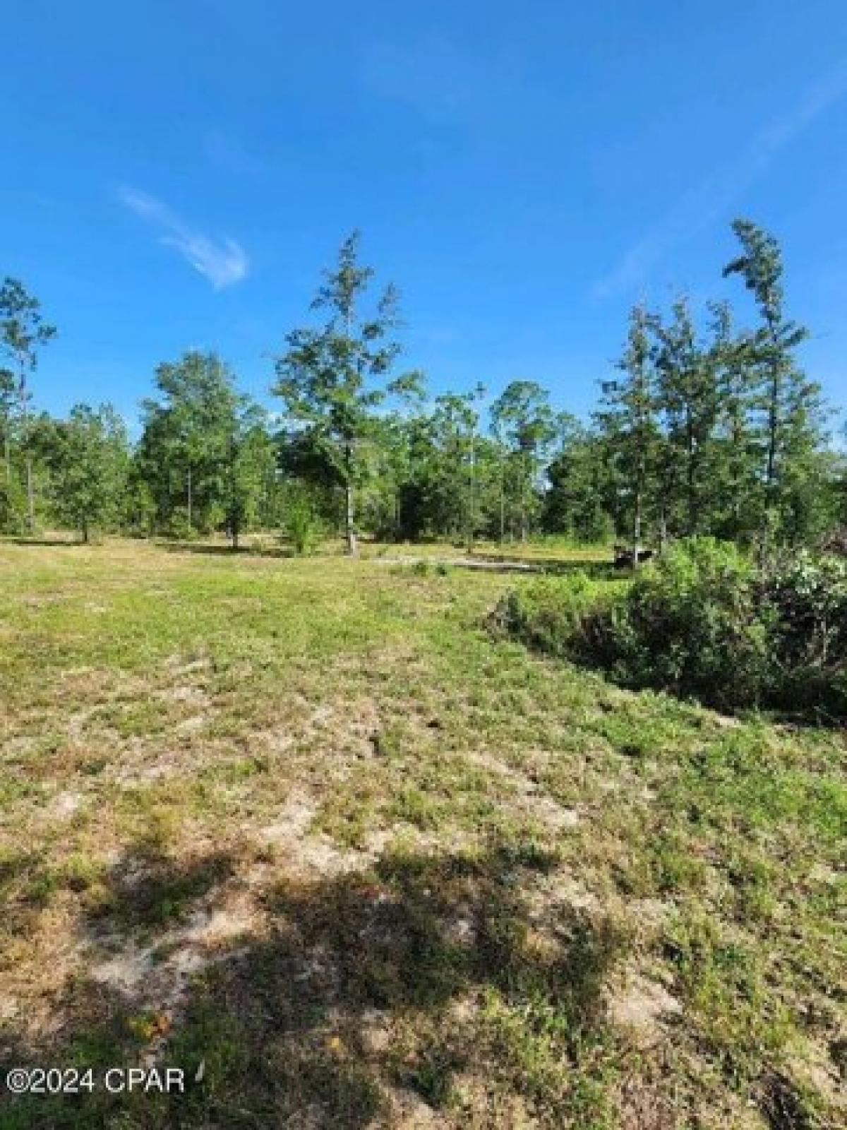 Picture of Residential Land For Sale in Chipley, Florida, United States
