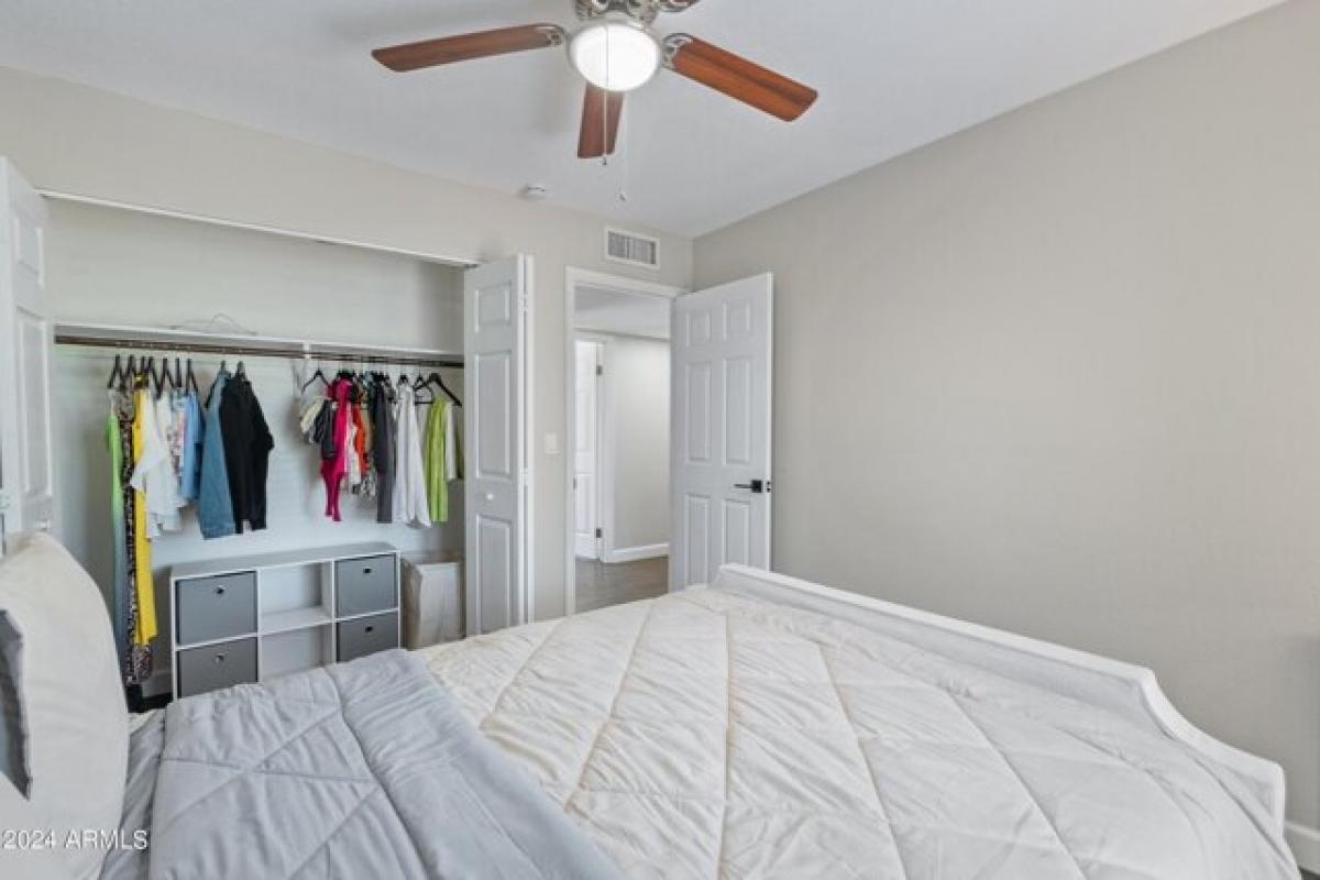 Picture of Home For Rent in Scottsdale, Arizona, United States