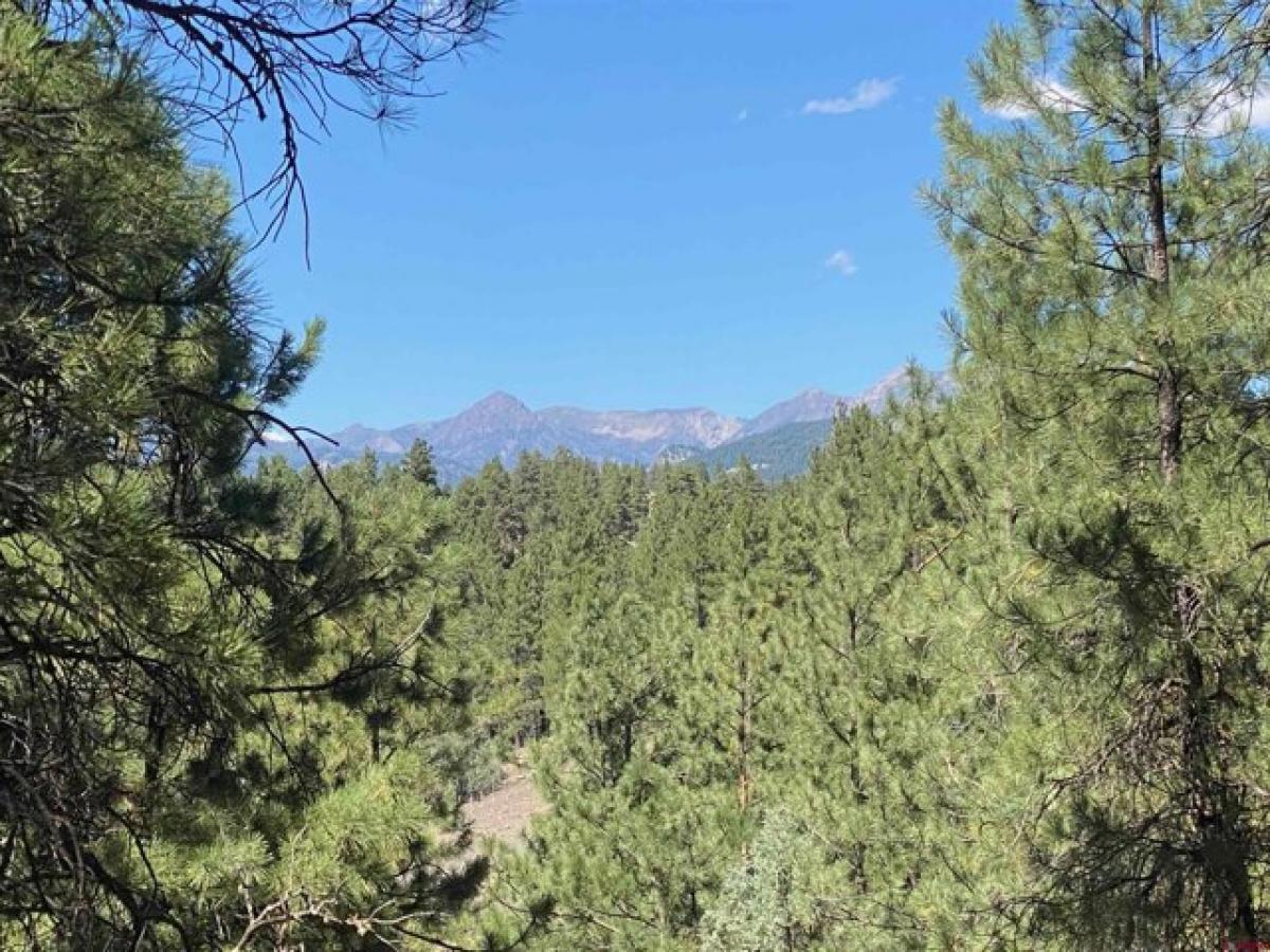 Picture of Residential Land For Sale in Pagosa Springs, Colorado, United States