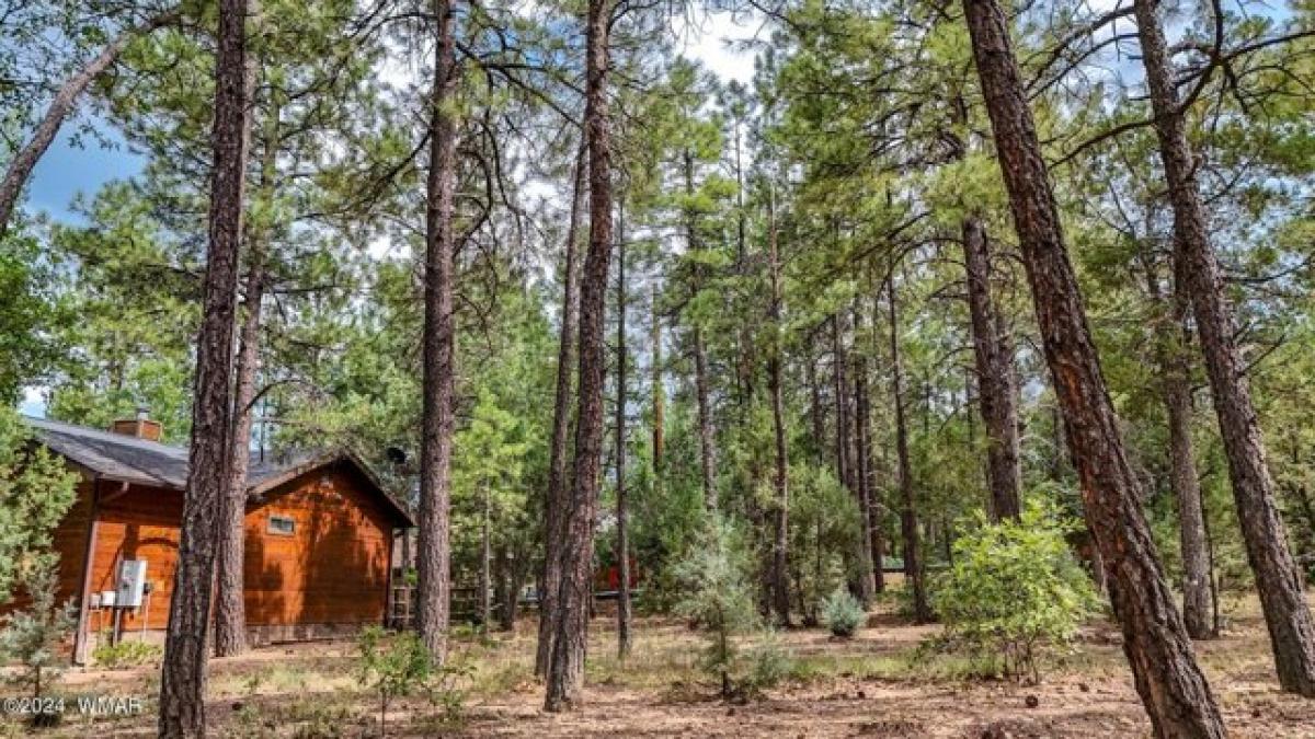 Picture of Residential Land For Sale in Lakeside, Arizona, United States