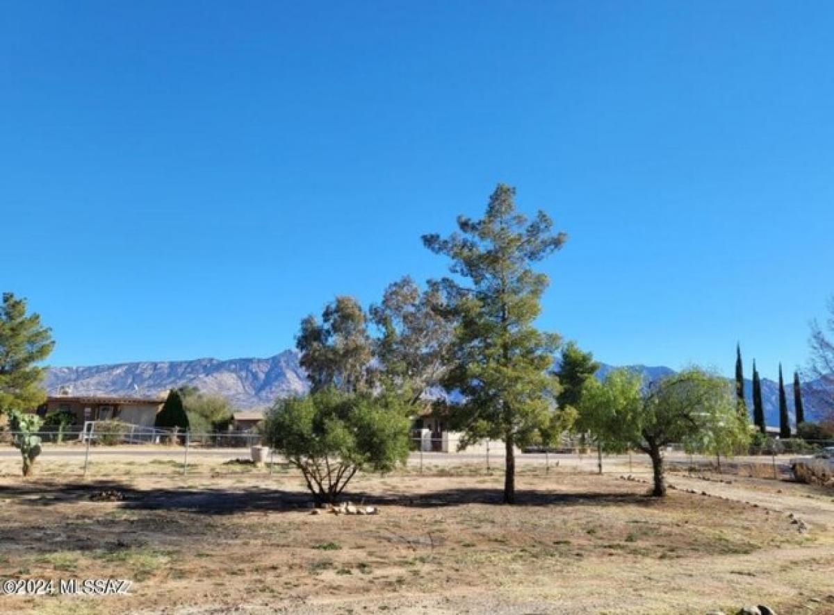 Picture of Residential Land For Sale in Tucson, Arizona, United States