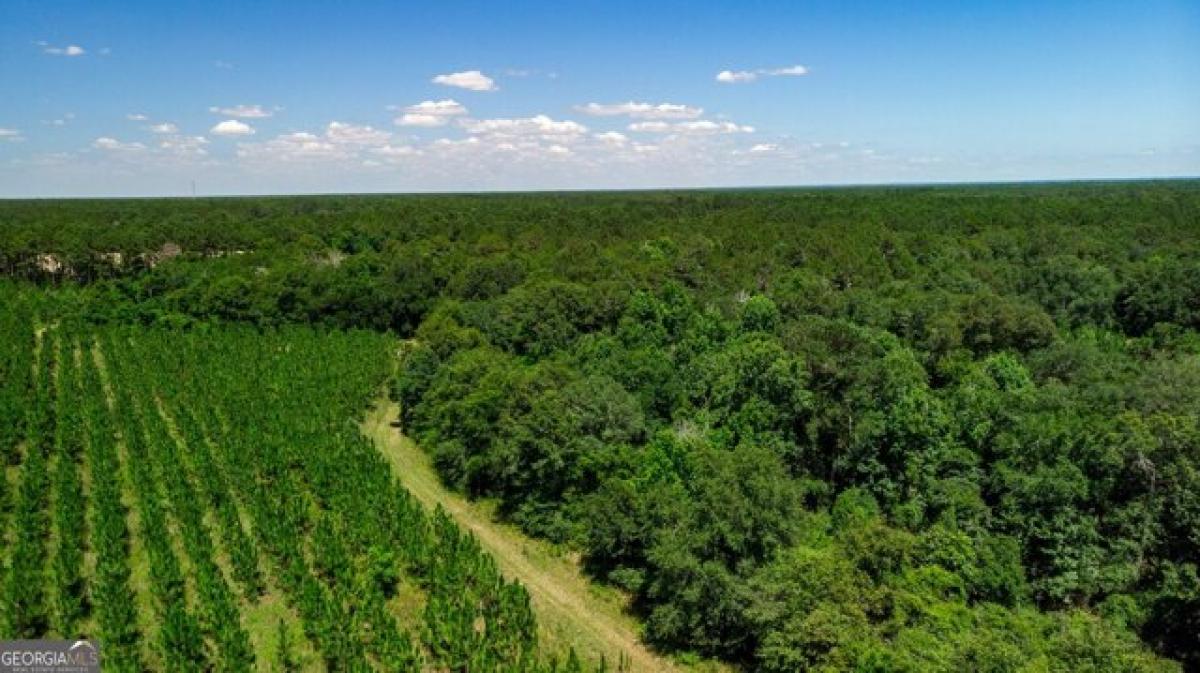 Picture of Residential Land For Sale in Leesburg, Georgia, United States