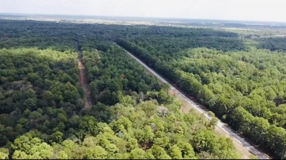 Picture of Residential Land For Sale in Hempstead, Texas, United States