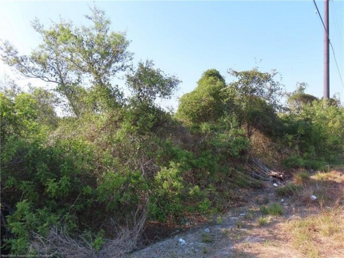 Picture of Residential Land For Sale in Lake Placid, Florida, United States