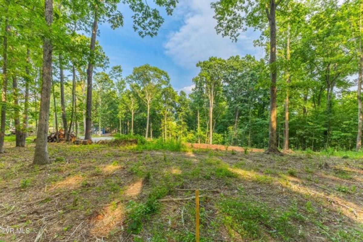 Picture of Residential Land For Sale in Dandridge, Tennessee, United States