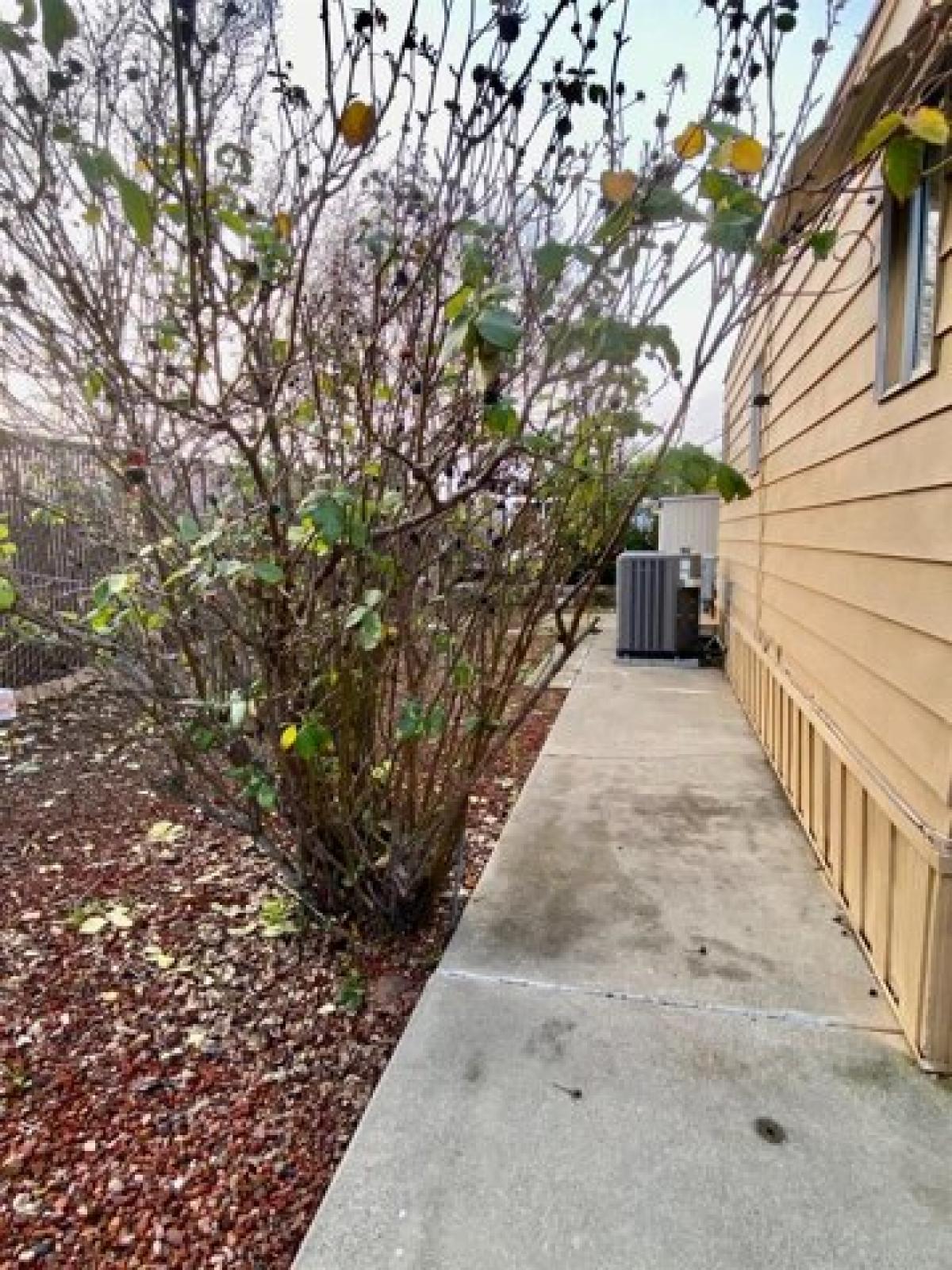 Picture of Home For Sale in Sacramento, California, United States