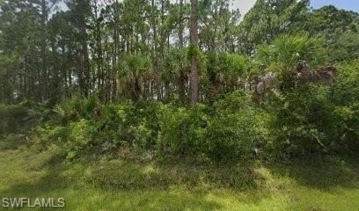 Picture of Residential Land For Sale in Port Charlotte, Florida, United States