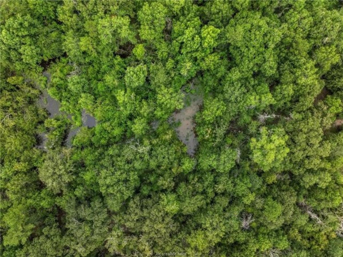 Picture of Residential Land For Sale in Huntsville, Texas, United States