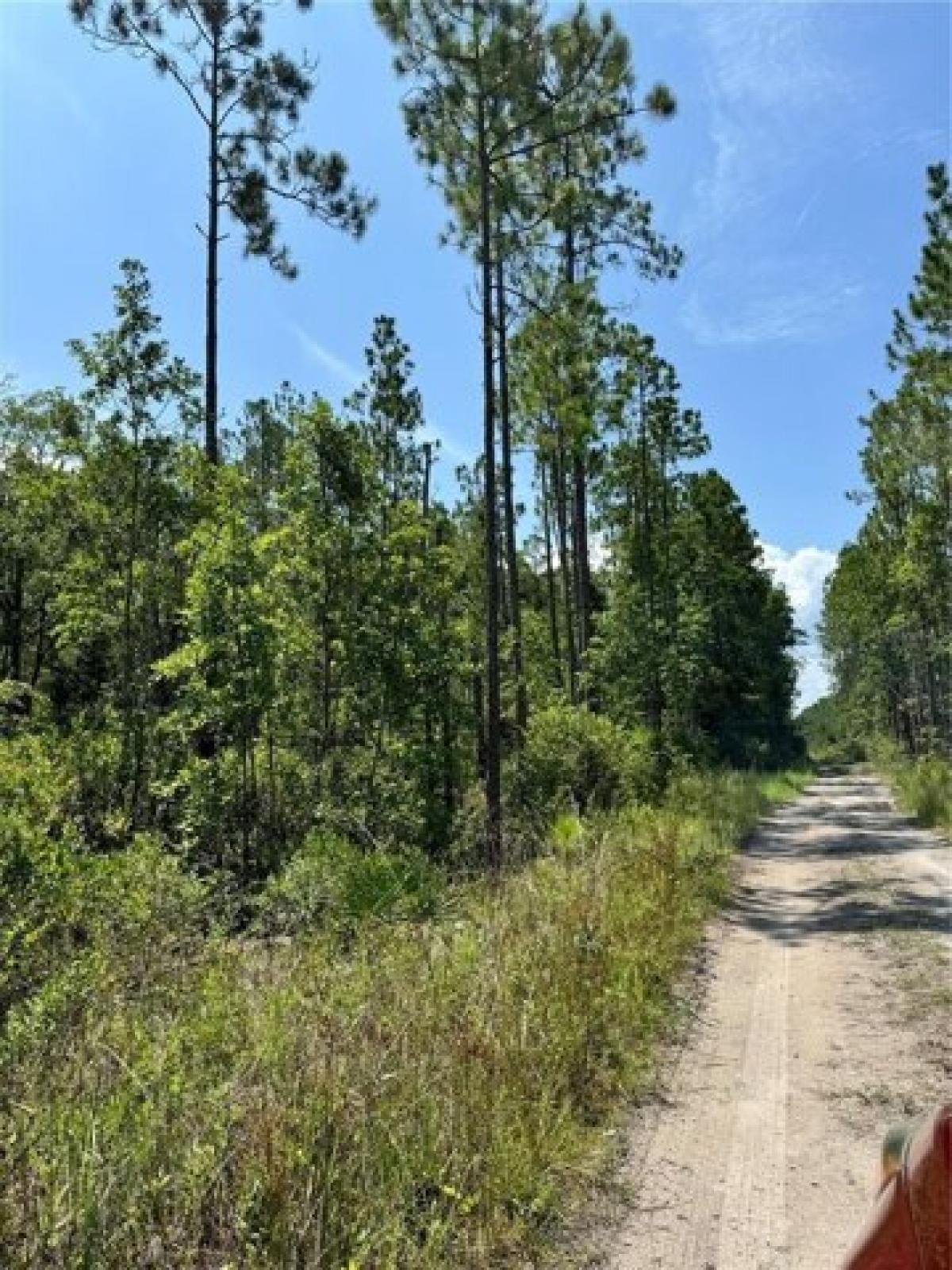Picture of Residential Land For Sale in Palatka, Florida, United States