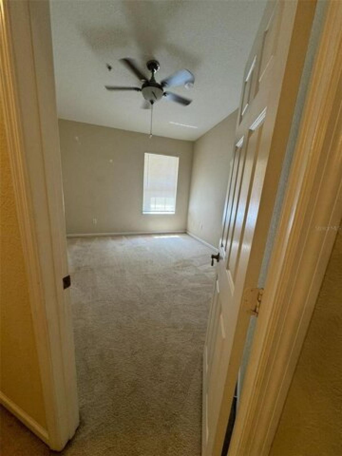 Picture of Home For Rent in Orlando, Florida, United States