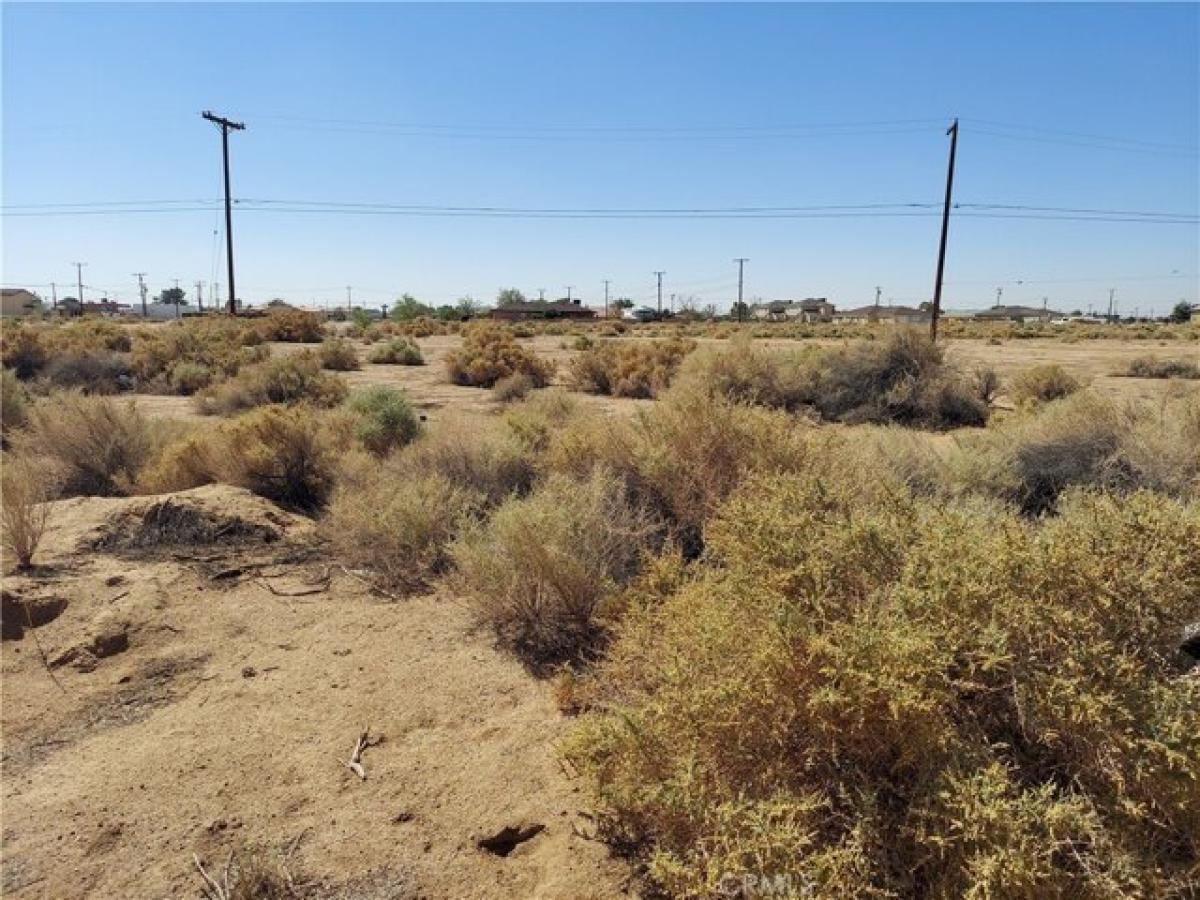 Picture of Residential Land For Sale in California City, California, United States