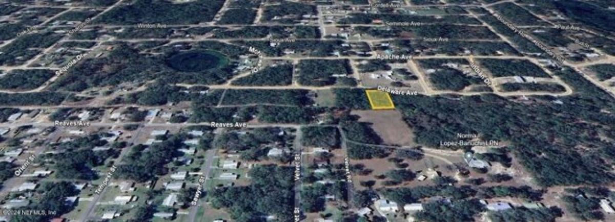 Picture of Residential Land For Rent in Interlachen, Florida, United States