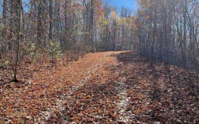 Residential Land For Sale in Hayesville, North Carolina