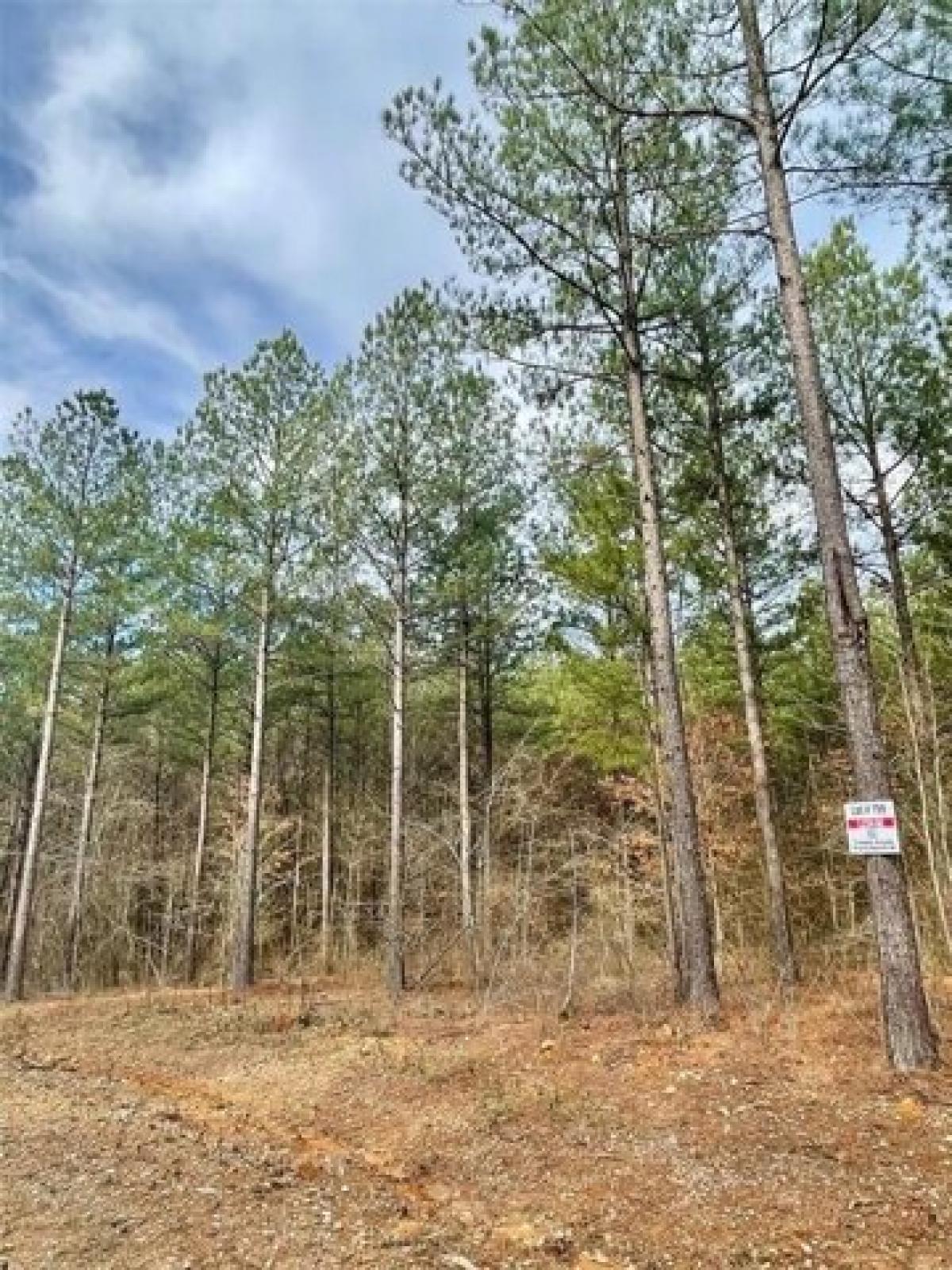 Picture of Residential Land For Sale in Broken Bow, Oklahoma, United States