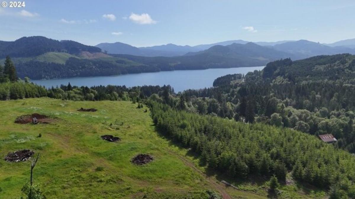 Picture of Residential Land For Sale in Lowell, Oregon, United States