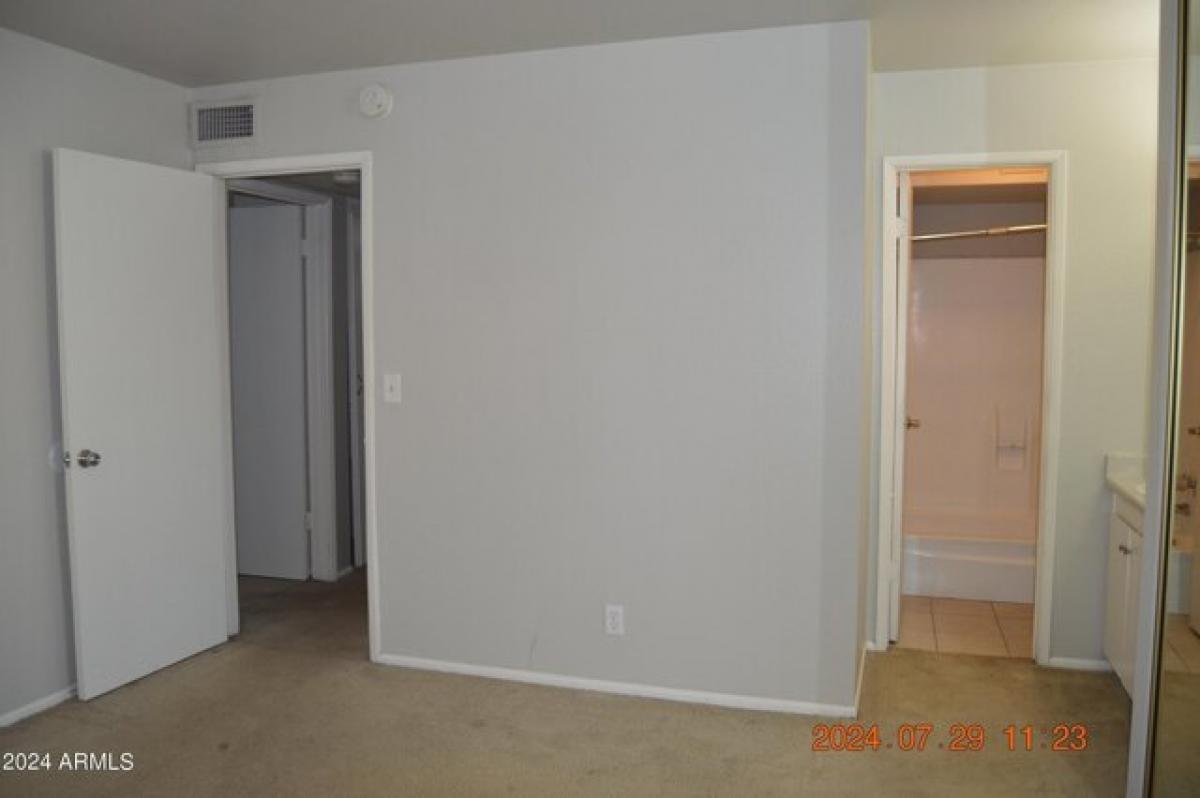 Picture of Apartment For Rent in Scottsdale, Arizona, United States