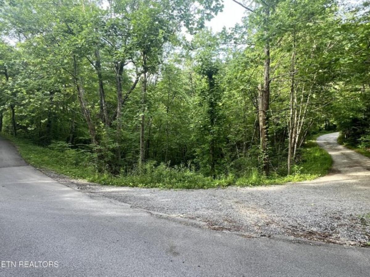 Picture of Residential Land For Sale in Sevierville, Tennessee, United States