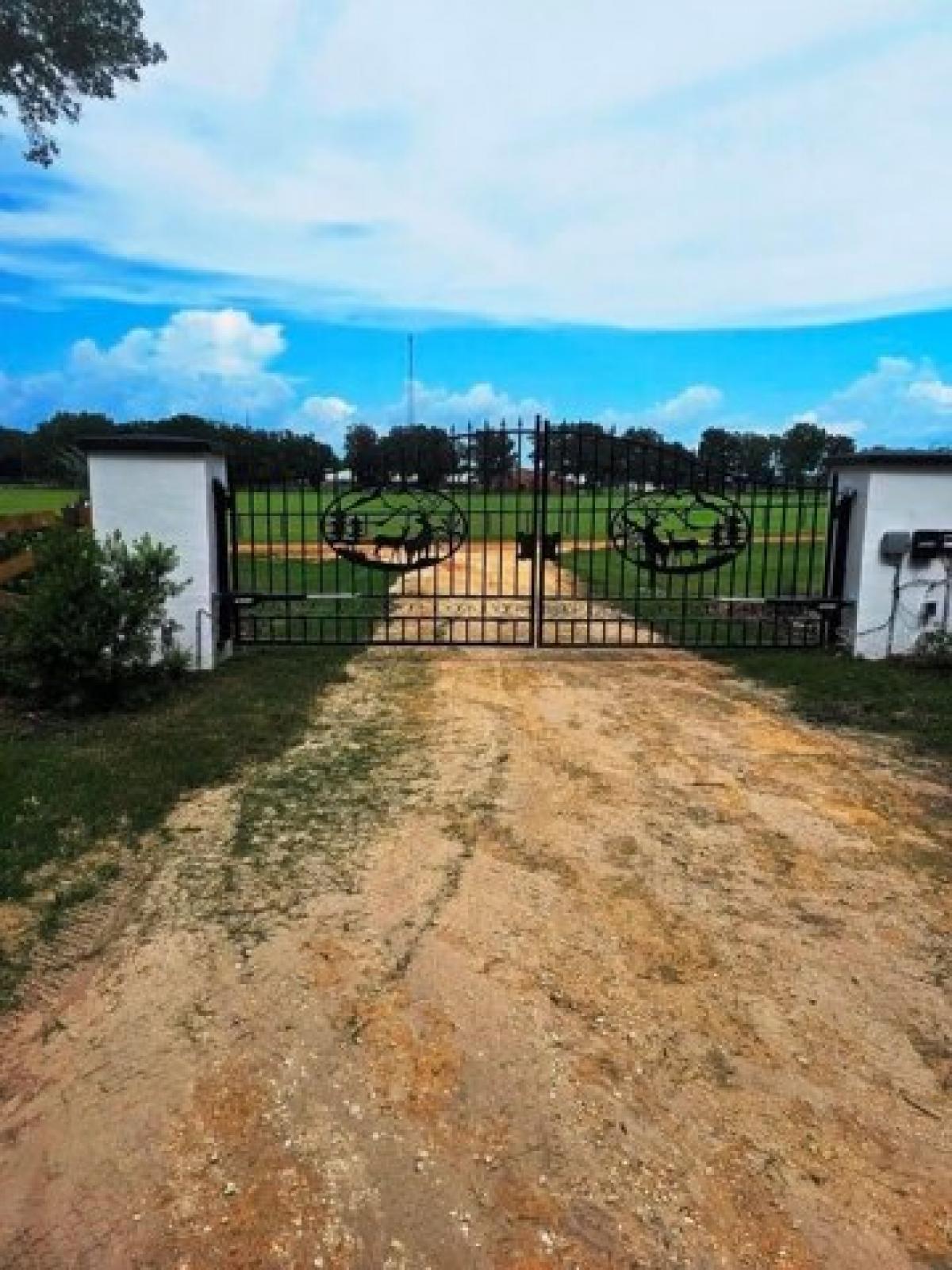 Picture of Residential Land For Sale in Dunnellon, Florida, United States