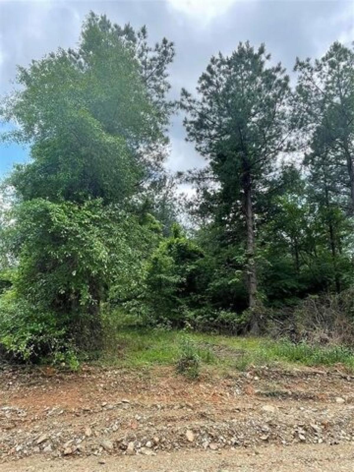 Picture of Residential Land For Sale in Broken Bow, Oklahoma, United States