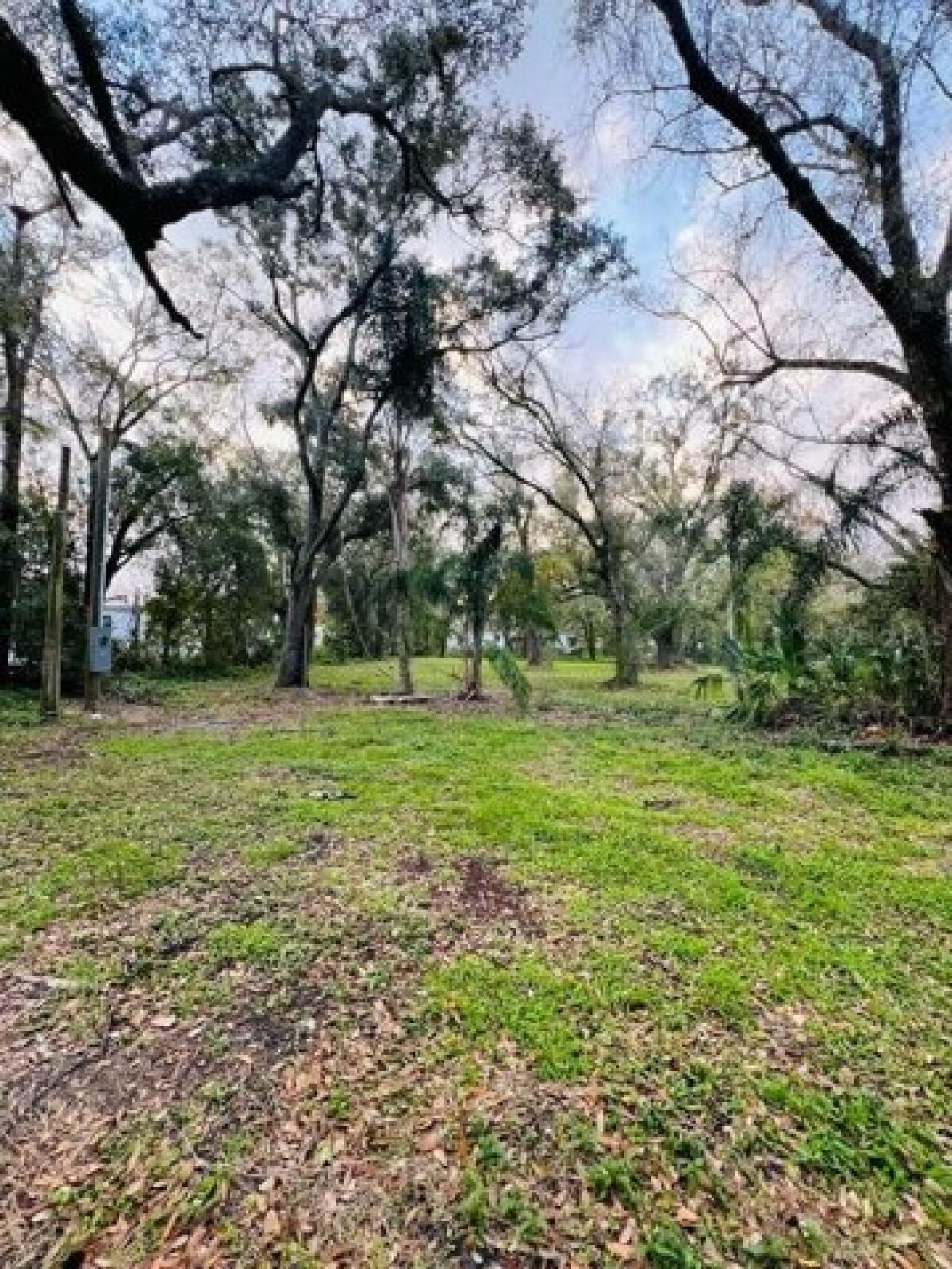 Picture of Residential Land For Sale in Arcadia, Florida, United States