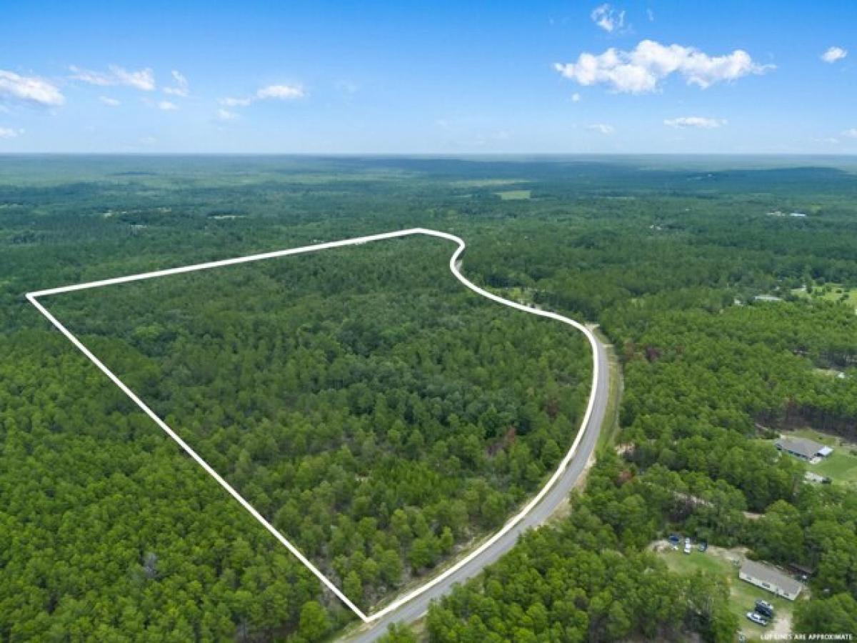 Picture of Residential Land For Sale in Ponce de Leon, Florida, United States