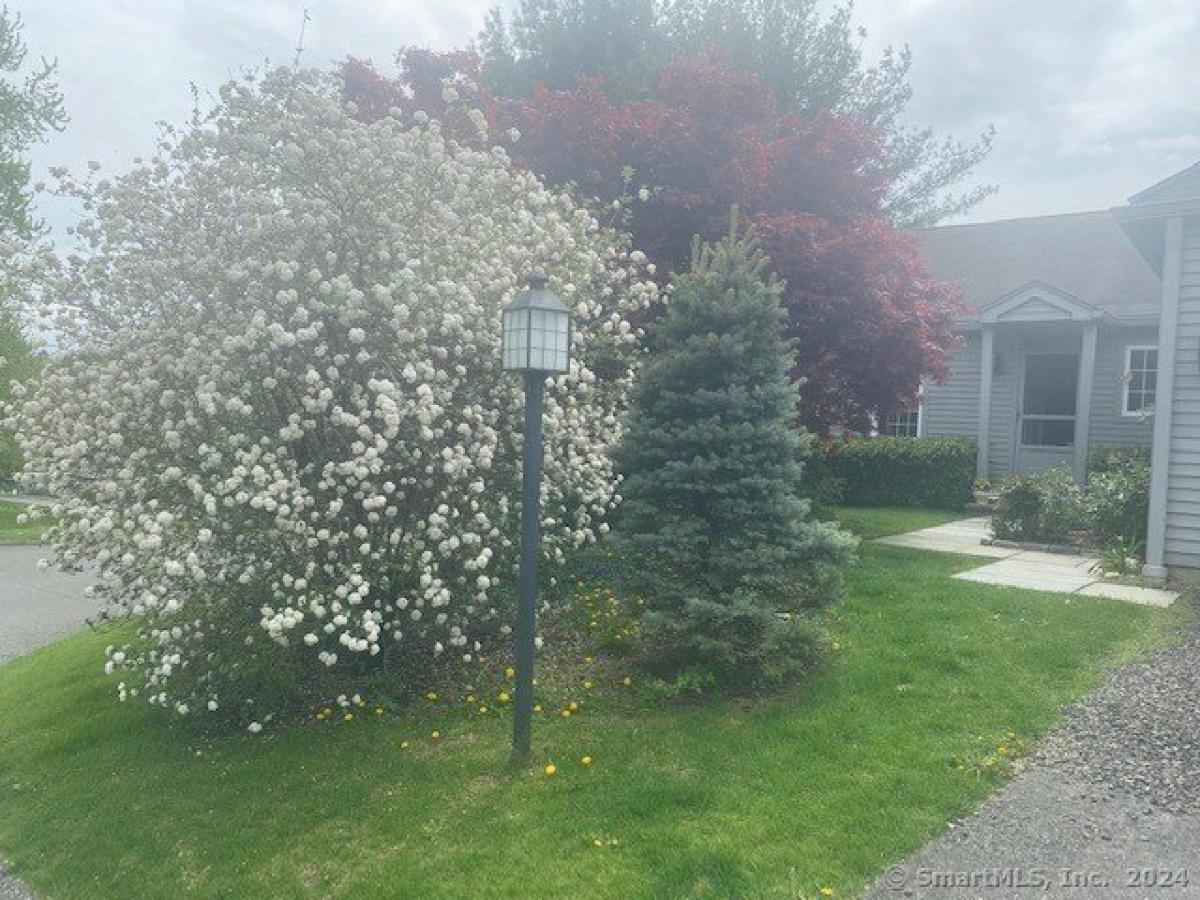 Picture of Home For Rent in Washington, Connecticut, United States