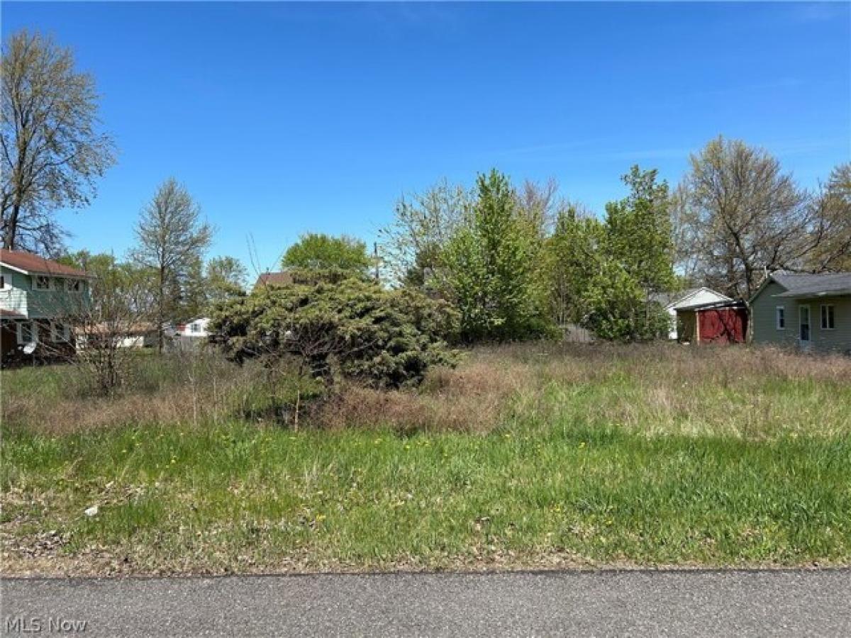 Picture of Residential Land For Sale in Elyria, Ohio, United States