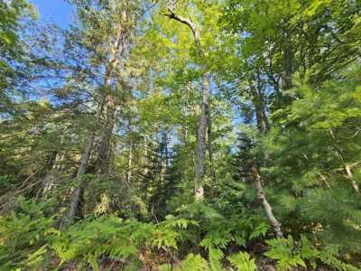 Residential Land For Rent in Wolverine, Michigan