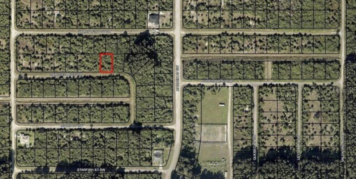 Picture of Residential Land For Sale in Palm Bay, Florida, United States