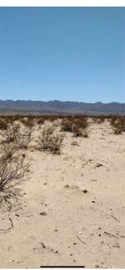 Residential Land For Sale in Twentynine Palms, California