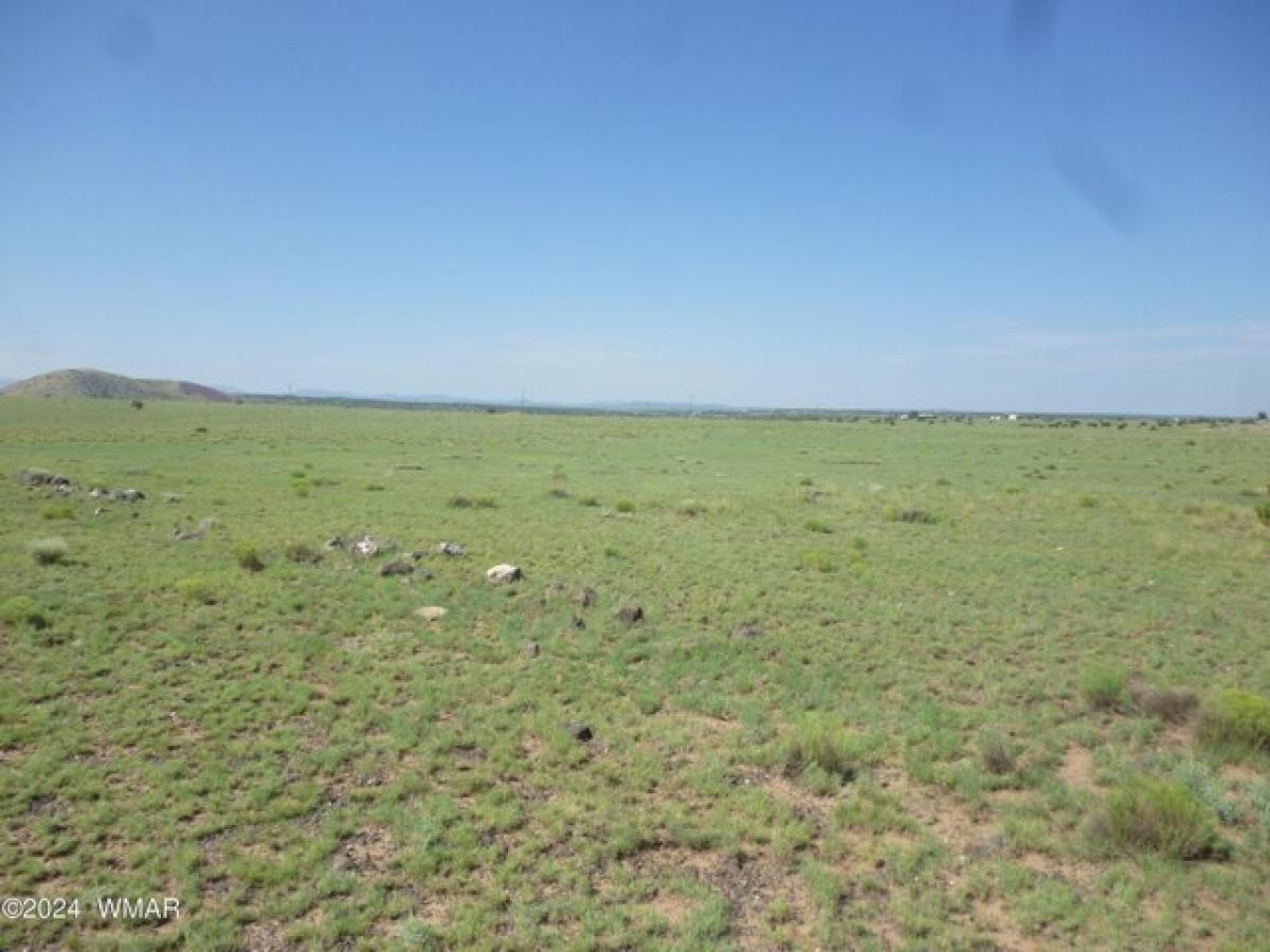Picture of Residential Land For Sale in Concho, Arizona, United States