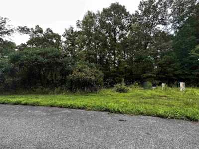 Residential Land For Sale in Shirley, Arkansas