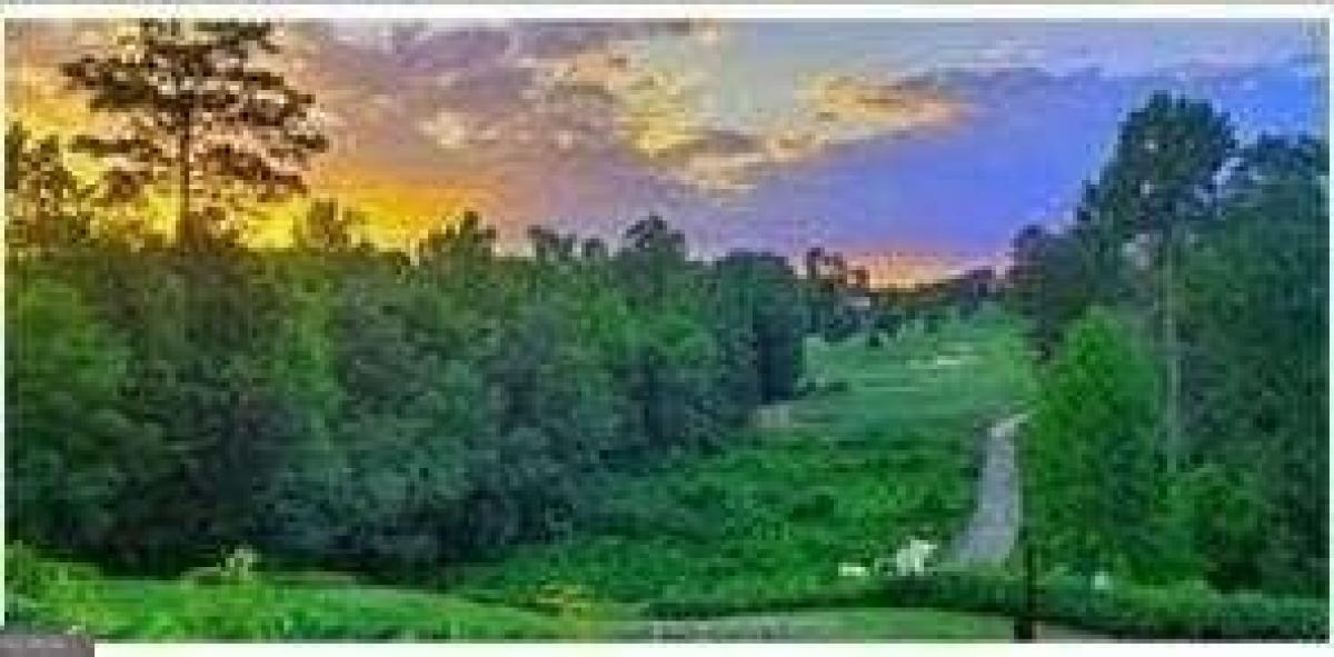 Picture of Residential Land For Sale in Alpharetta, Georgia, United States