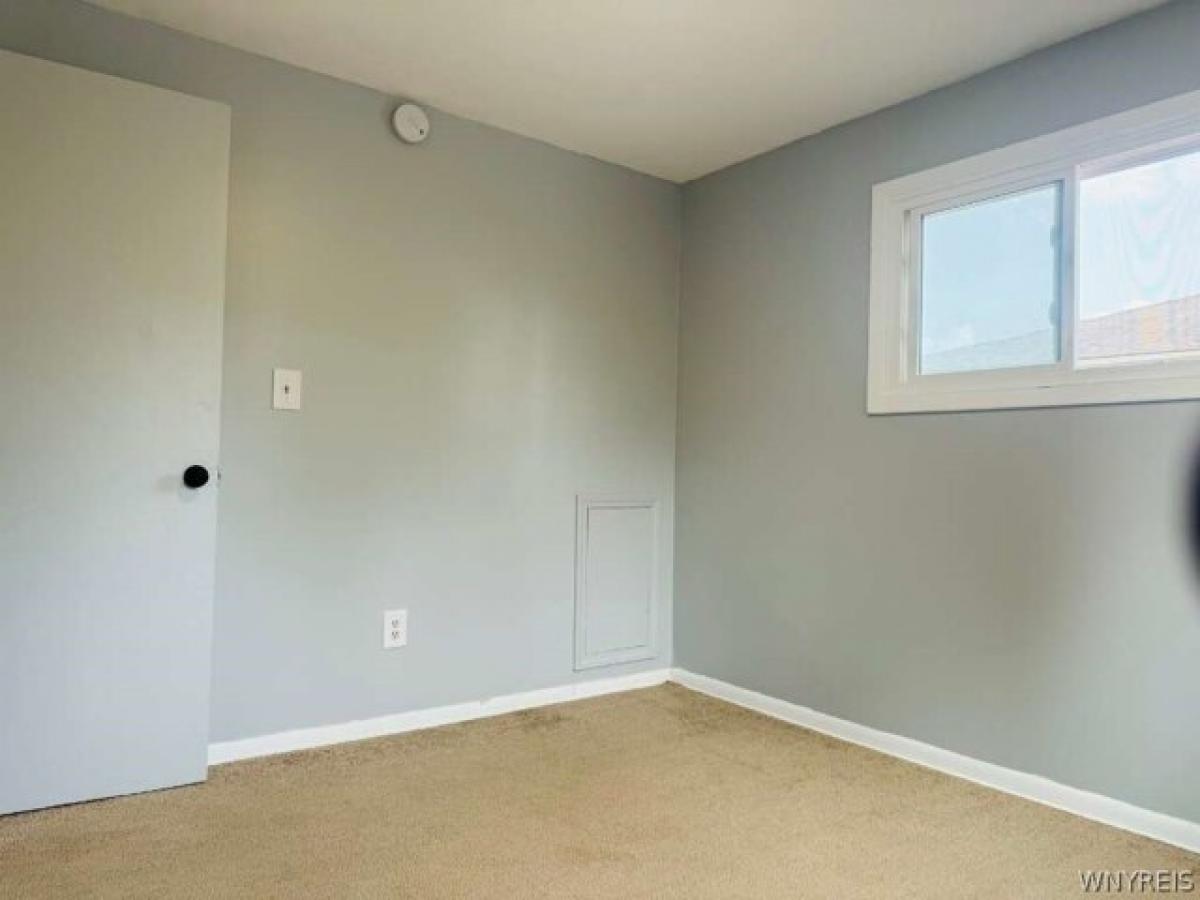 Picture of Apartment For Rent in Buffalo, New York, United States