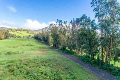 Residential Land For Sale in Kamuela, Hawaii