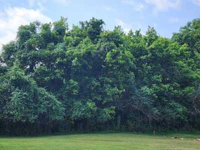 Residential Land For Sale in