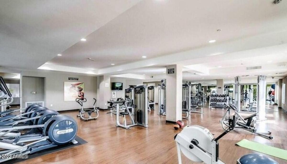 Picture of Apartment For Rent in Phoenix, Arizona, United States