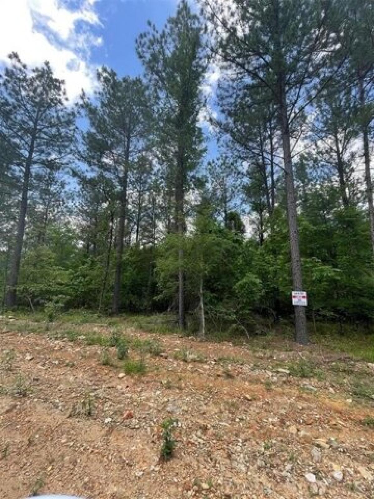 Picture of Residential Land For Sale in Broken Bow, Oklahoma, United States