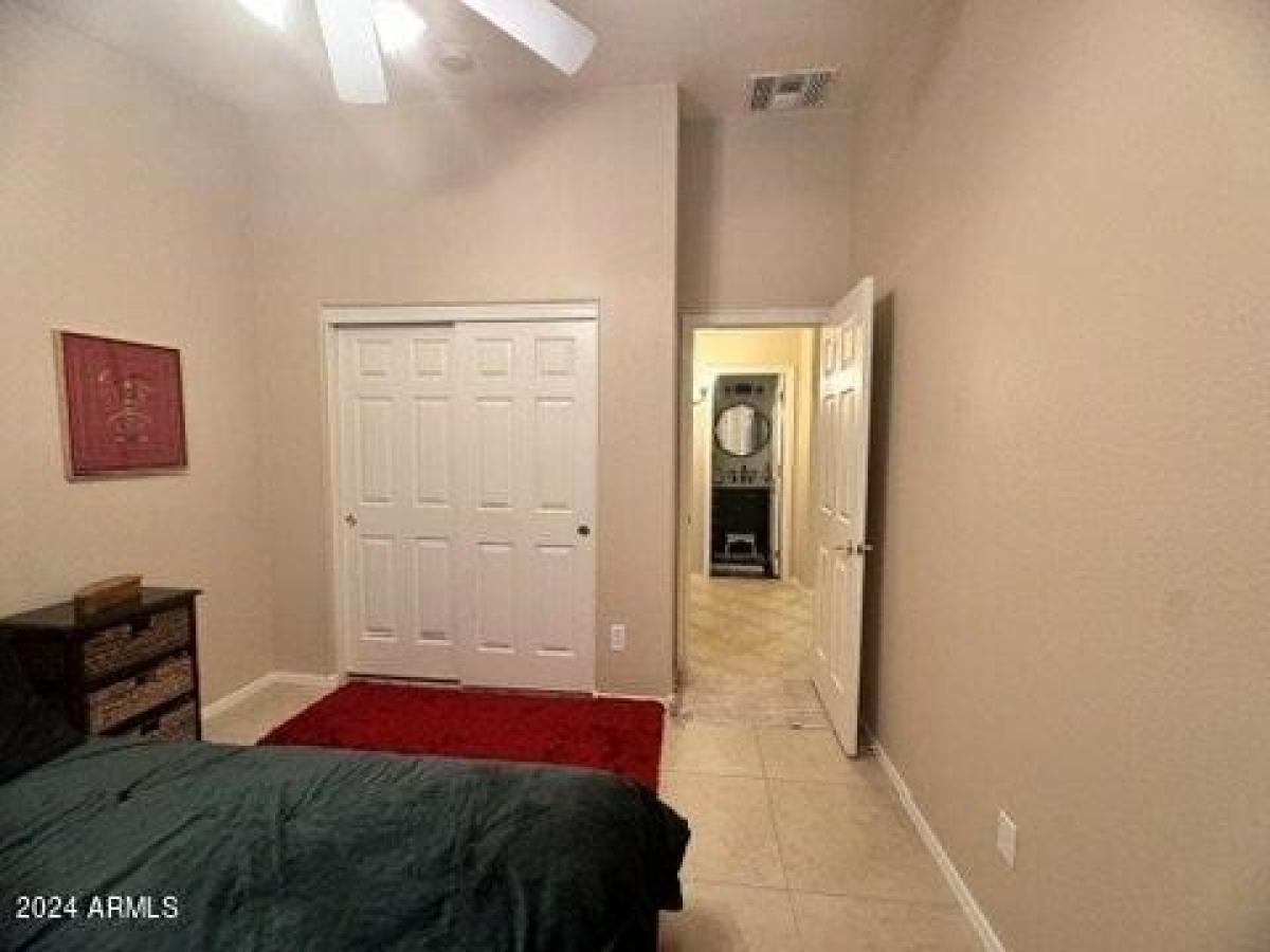 Picture of Home For Rent in Chandler, Arizona, United States