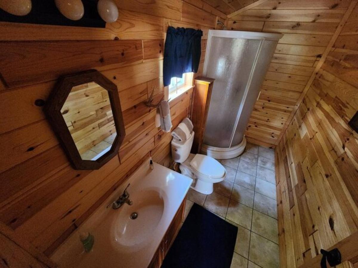 Picture of Home For Sale in Mio, Michigan, United States