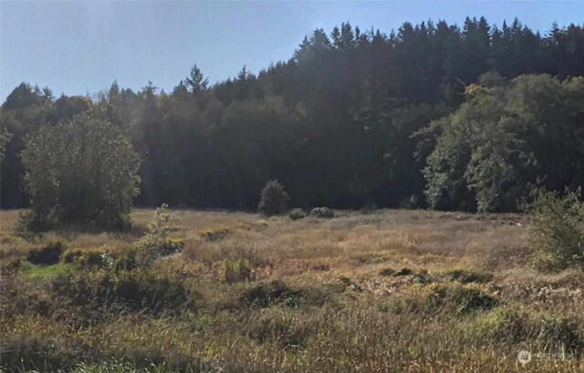 Picture of Residential Land For Sale in Port Angeles, Washington, United States