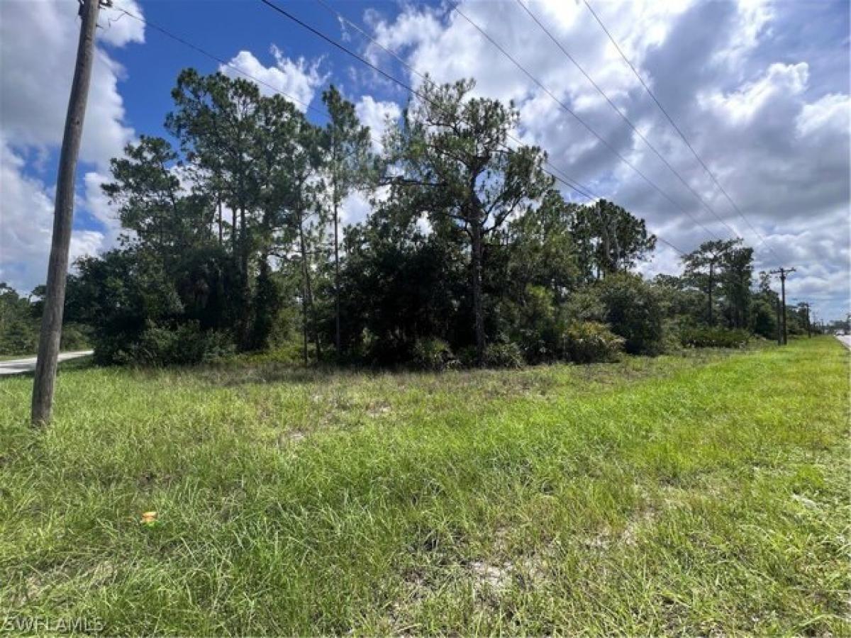 Picture of Residential Land For Sale in Lehigh Acres, Florida, United States