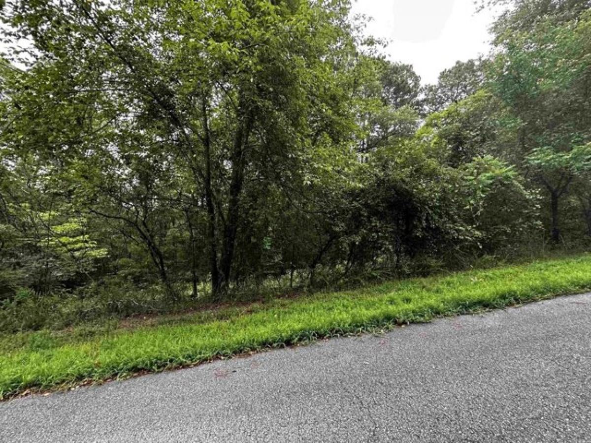 Picture of Residential Land For Sale in Shirley, Arkansas, United States