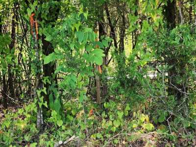 Residential Land For Sale in