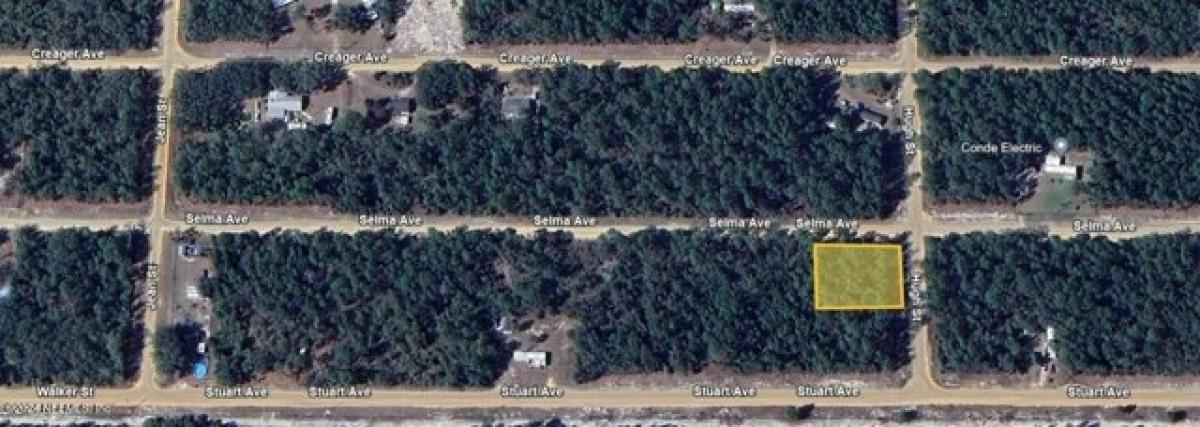 Picture of Residential Land For Rent in Interlachen, Florida, United States