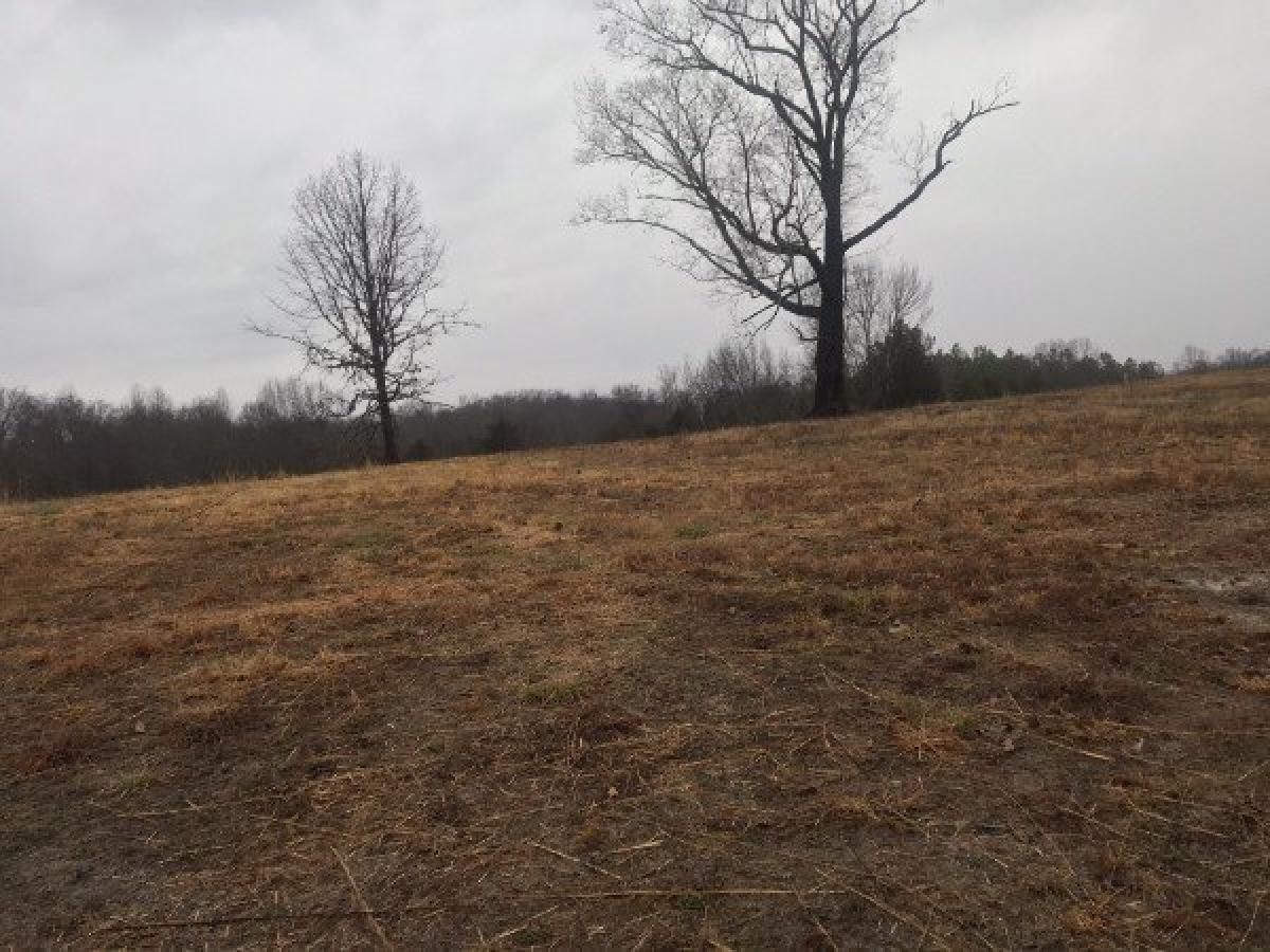 Picture of Residential Land For Sale in Sparta, Tennessee, United States
