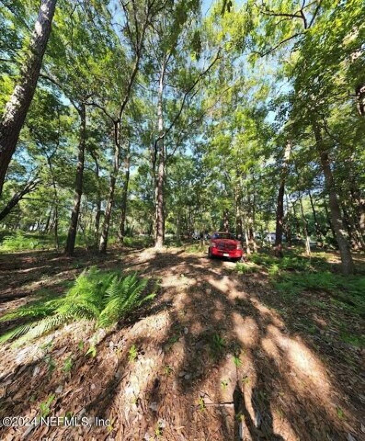 Picture of Residential Land For Sale in Jacksonville, Florida, United States