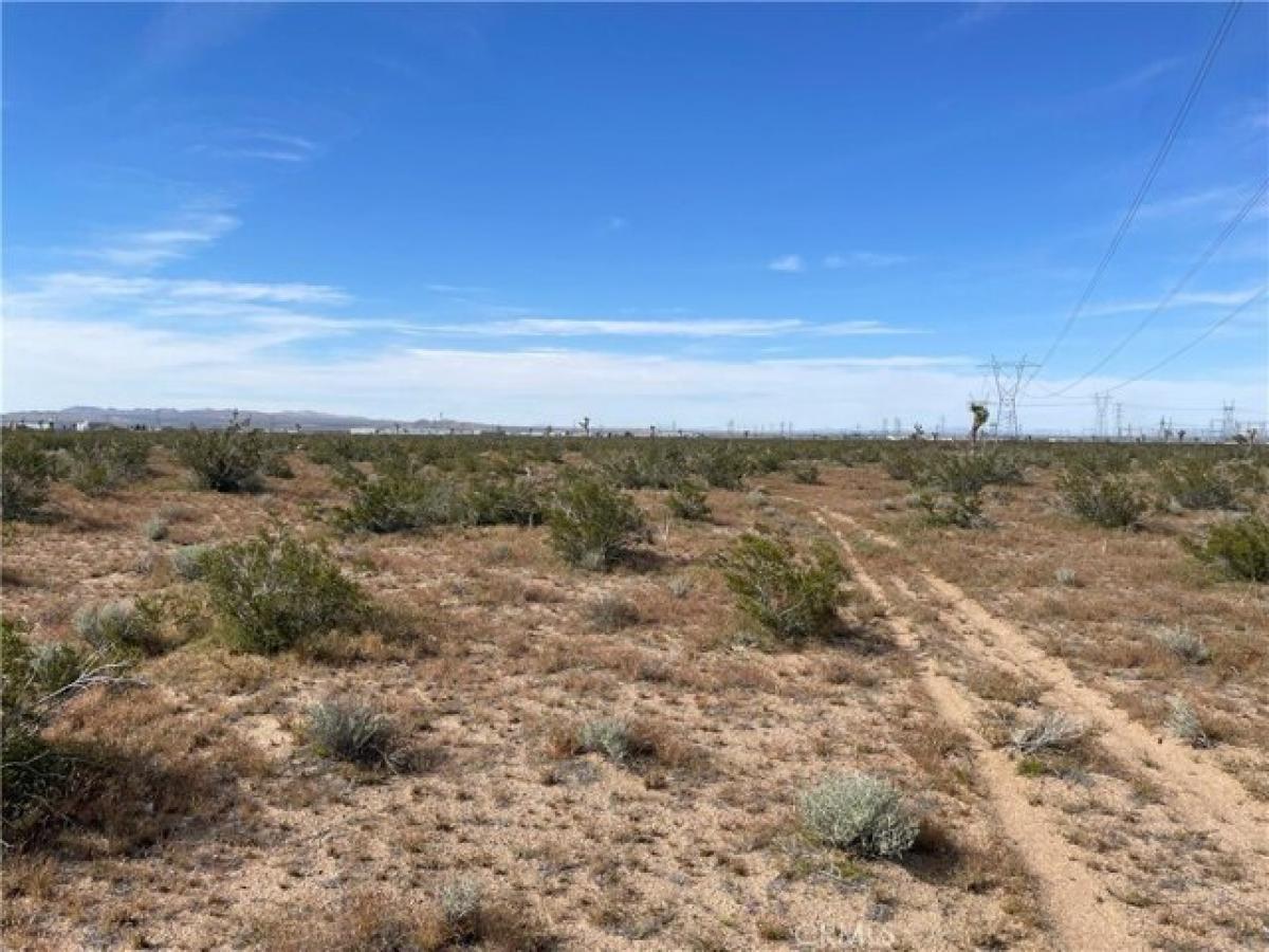 Picture of Residential Land For Sale in Adelanto, California, United States