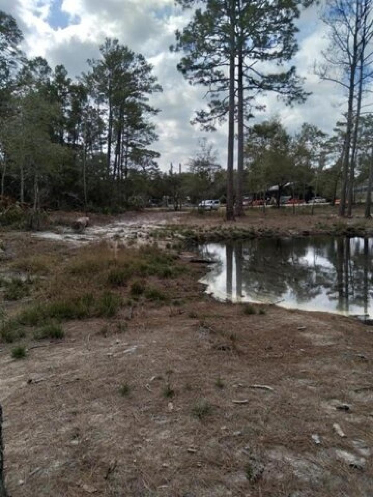 Picture of Residential Land For Sale in Carrabelle, Florida, United States
